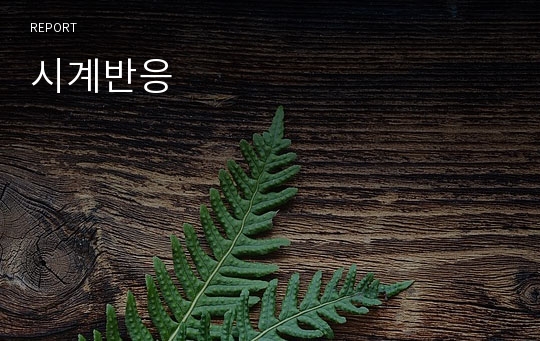 시계반응