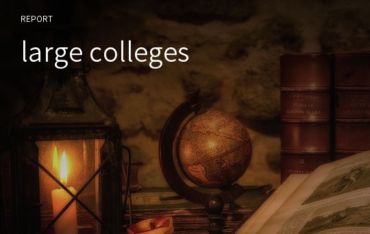 large colleges