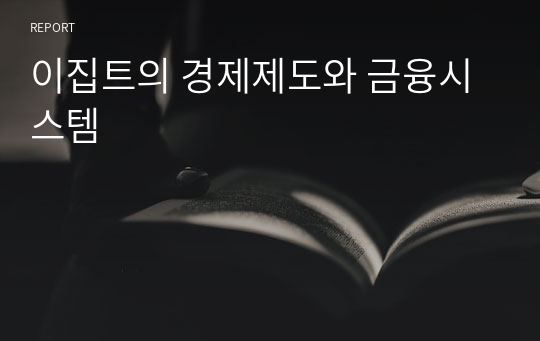 이집트의 경제제도와 금융시스템