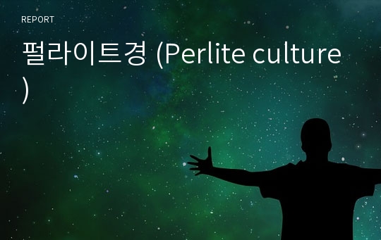 펄라이트경 (Perlite culture)