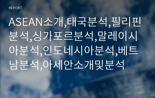 ASEAN소개,태국분석,필리핀분석,싱가포르분석,말레이시아분석,인도네시아분석,베트남분석,아세안소개및분석