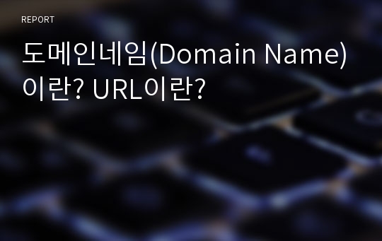 도메인네임(Domain Name)이란? URL이란?