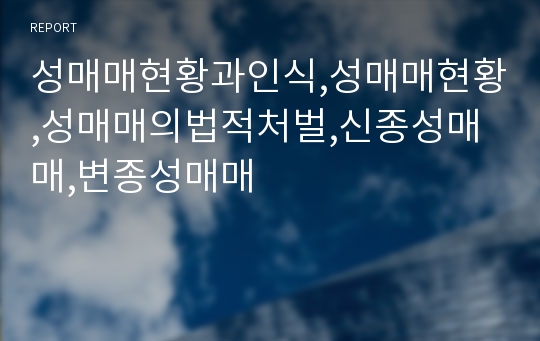 성매매현황과인식,성매매현황,성매매의법적처벌,신종성매매,변종성매매