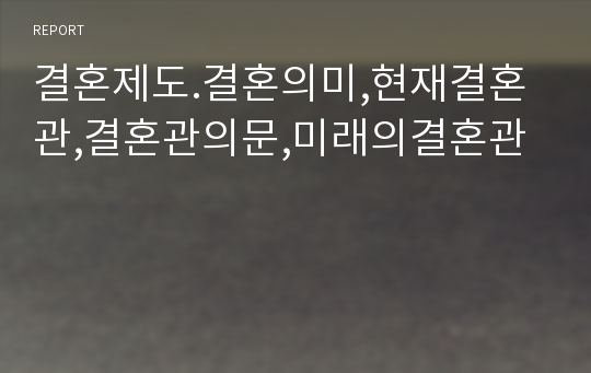 결혼제도.결혼의미,현재결혼관,결혼관의문,미래의결혼관