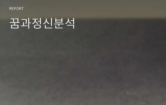 꿈과정신분석