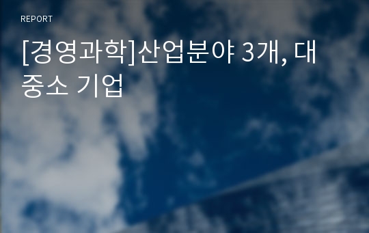 [경영과학]산업분야 3개, 대중소 기업