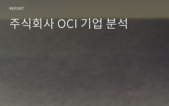 주식회사 OCI 기업 분석