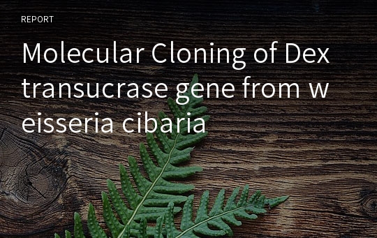 Molecular Cloning of Dextransucrase gene from weisseria cibaria