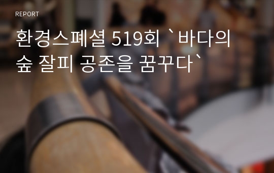 환경스폐셜 519회 `바다의 숲 잘피 공존을 꿈꾸다`