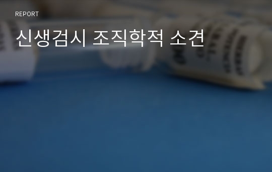 신생검시 조직학적 소견