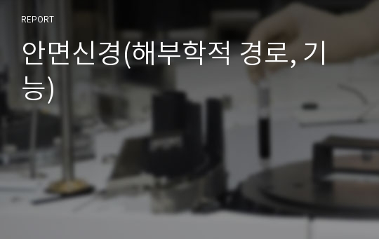 안면신경(해부학적 경로, 기능)