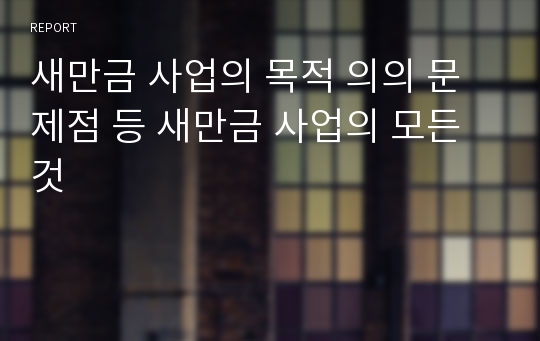 새만금 사업의 목적 의의 문제점 등 새만금 사업의 모든것