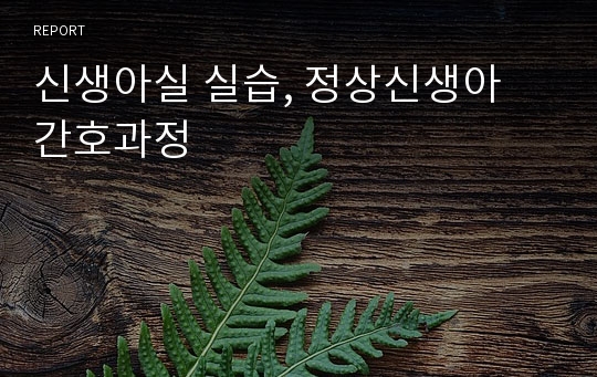 신생아실 실습, 정상신생아 간호과정