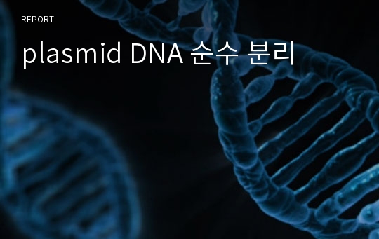 plasmid DNA 순수 분리
