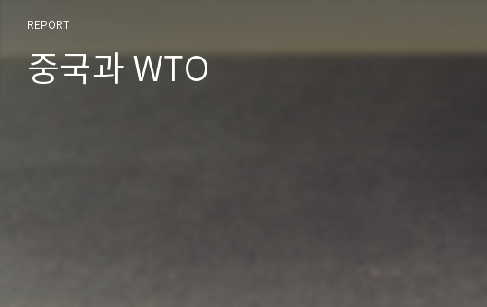 중국과 WTO