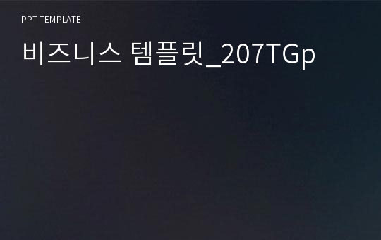 비즈니스 템플릿_207TGp