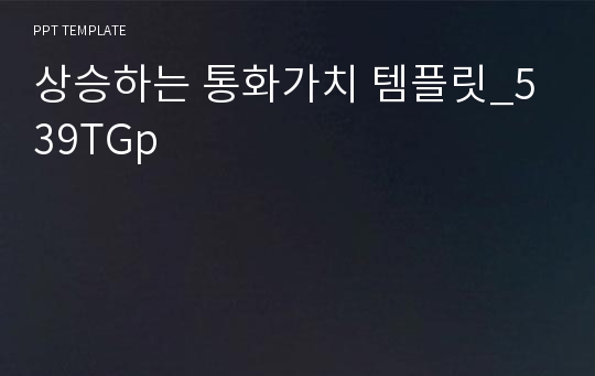 상승하는 통화가치 템플릿_539TGp