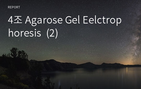 4조 Agarose Gel Eelctrophoresis  (2)