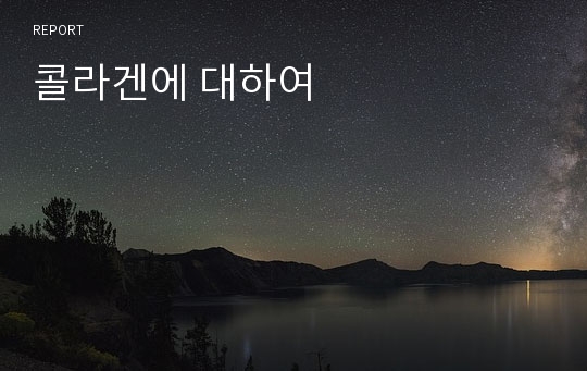 콜라겐에 대하여