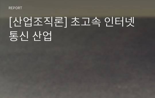 [산업조직론] 초고속 인터넷 통신 산업