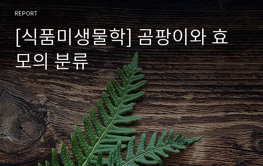 [식품미생물학] 곰팡이와 효모의 분류