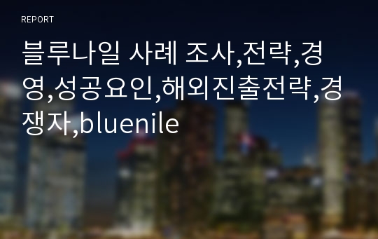 블루나일 사례 조사,전략,경영,성공요인,해외진출전략,경쟁자,bluenile