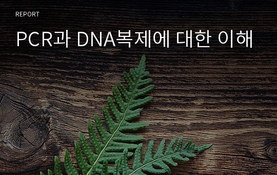 PCR과 DNA복제에 대한 이해