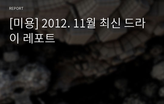 [미용] 2012. 11월 최신 드라이 레포트