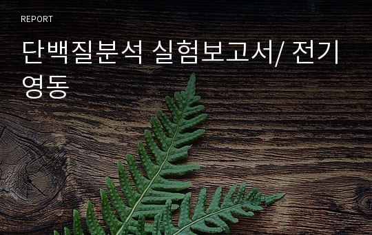 단백질분석 실험보고서/ 전기영동