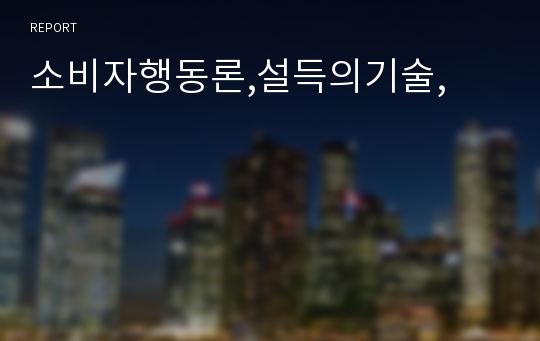 소비자행동론,설득의기술,