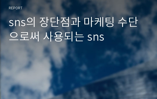 sns의 장단점과 마케팅 수단으로써 사용되는 sns