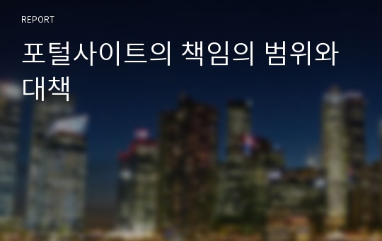 포털사이트의 책임의 범위와 대책