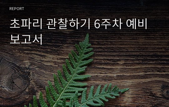 초파리 관찰하기 6주차 예비보고서