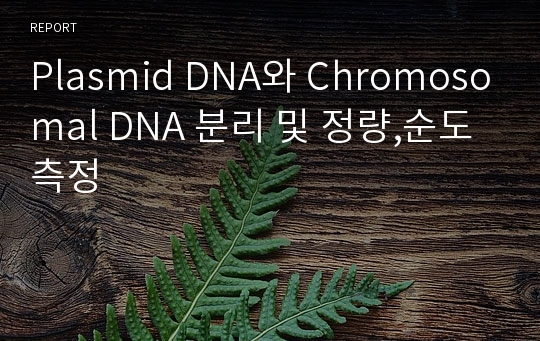 Plasmid DNA와 Chromosomal DNA 분리 및 정량,순도측정