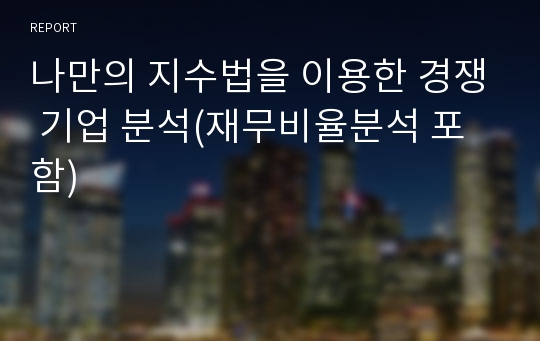 나만의 지수법을 이용한 경쟁 기업 분석(재무비율분석 포함)