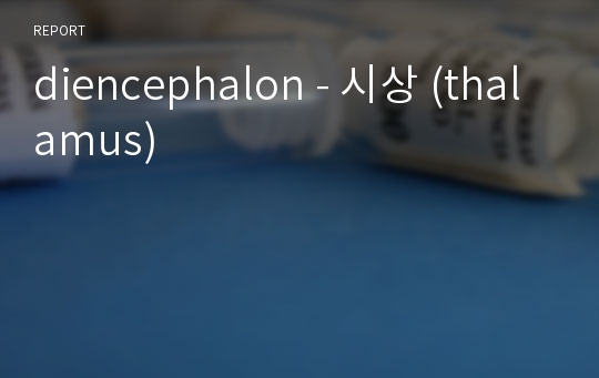 diencephalon - 시상 (thalamus)