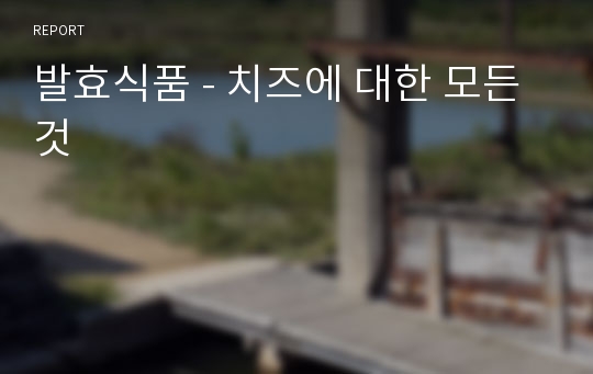 발효식품 - 치즈에 대한 모든 것