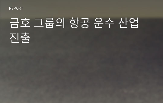 금호 그룹의 항공 운수 산업 진출