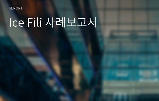 Ice Fili 사례보고서