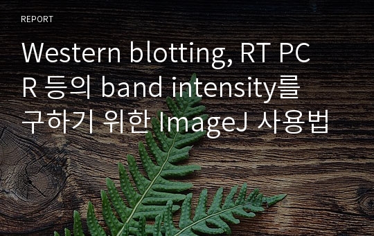 Western blotting, RT PCR 등의 band intensity를 구하기 위한 ImageJ 사용법