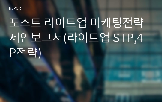 포스트 라이트업 마케팅전략 제안보고서(라이트업 STP,4P전략)