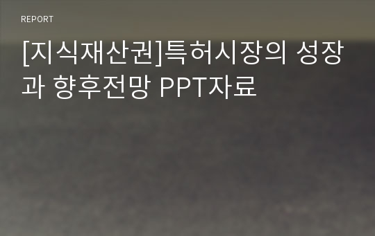 [지식재산권]특허시장의 성장과 향후전망 PPT자료