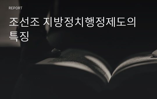 조선조 지방정치행정제도의 특징