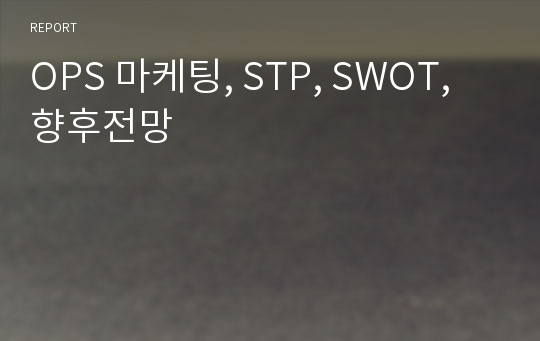 OPS 마케팅, STP, SWOT, 향후전망