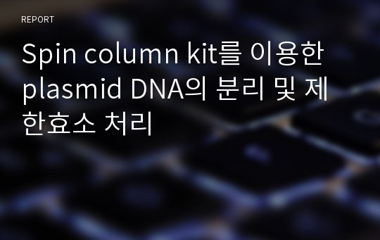 Spin column kit를 이용한 plasmid DNA의 분리 및 제한효소 처리