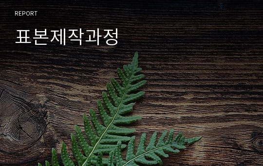 표본제작과정