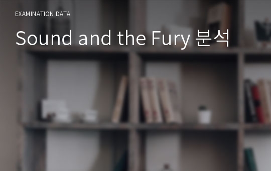 Sound and the Fury 분석