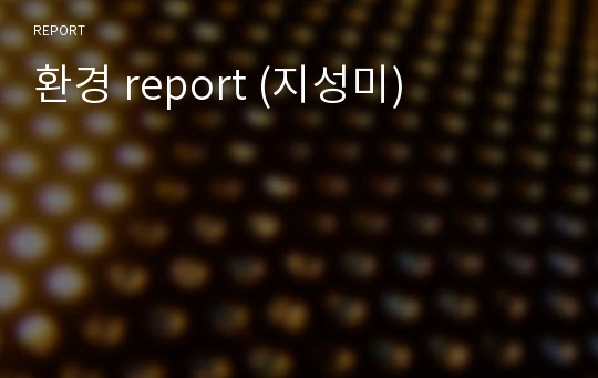 환경 report (지성미)