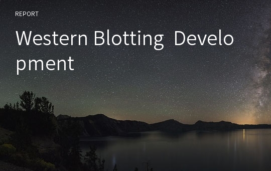 Western Blotting  Development