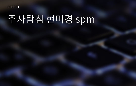 주사탐침 현미경 spm